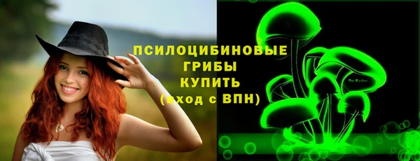 spice Алексин