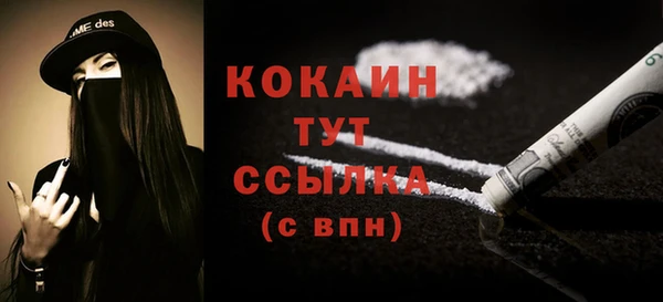 spice Алексин